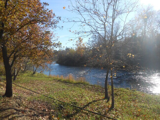 Building Photo - SCENIC BACKYARD WITH  CLEAR CREEK ACCESS I...