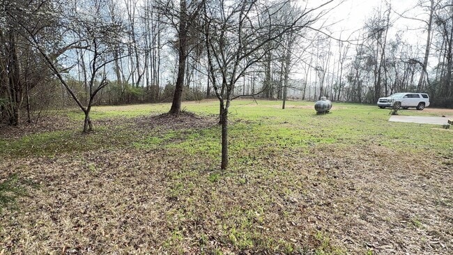 Building Photo - 2741 Pineapple Hwy