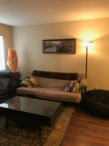 Living Room with natural light given end unit - 1209 W Plum St