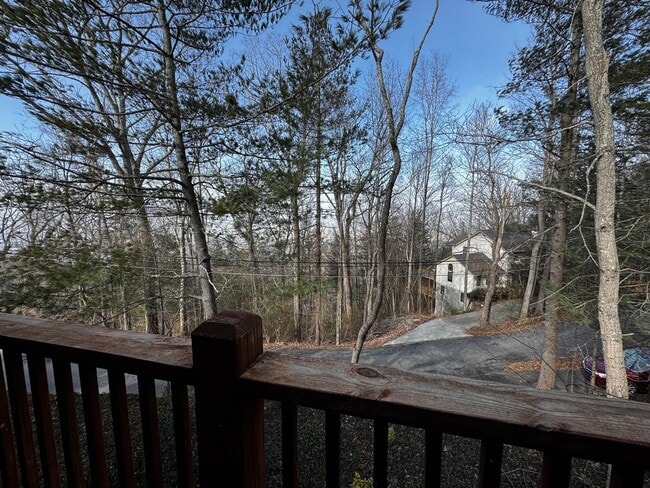 Building Photo - Central AVL Condo - Huge Deck, Views and Community Pool