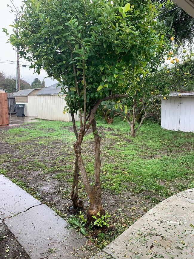 Building Photo - Three Bedroom Single Family Home