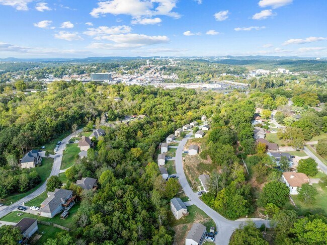 Building Photo - Modern 3-Bedroom Home Near Branson Landing...