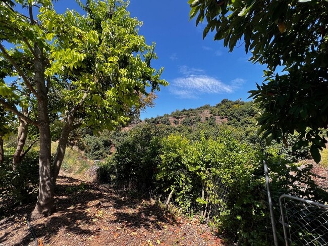 Building Photo - Hidden Gem at the End of the Cul-de-Sac!