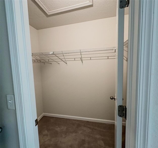 Building Photo - 2144 Laceflower Dr