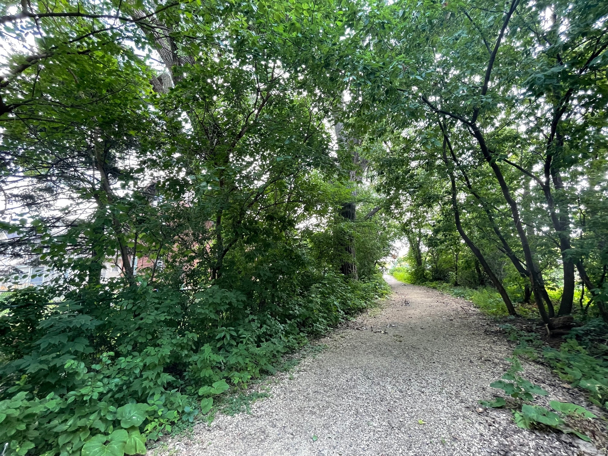 Trails nearby - 1217 Grand Ave