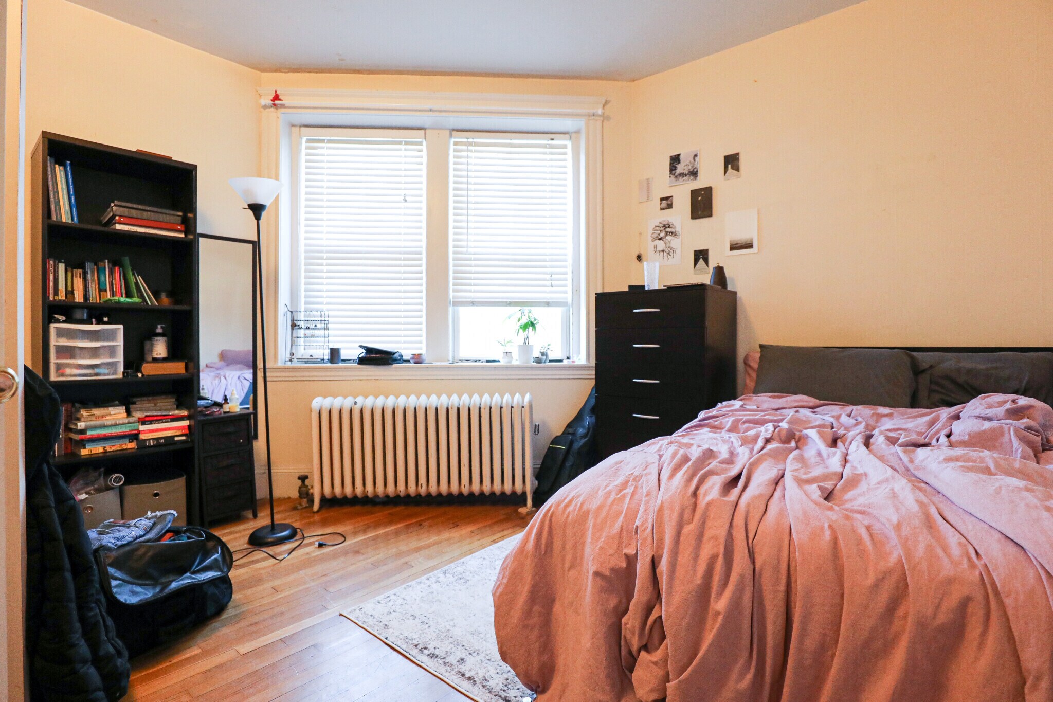 Building Photo - 62 Egmont St