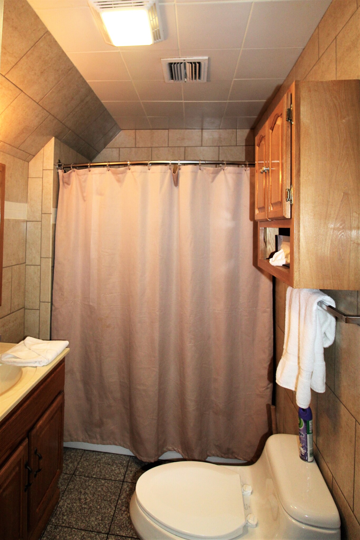 Tub/shower combination - 119 Chestnut St