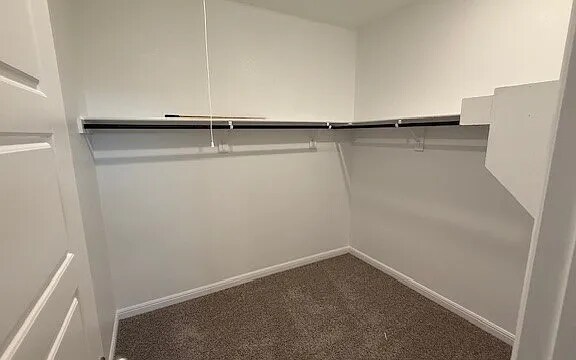 Building Photo - 305 Gallant Man Ct