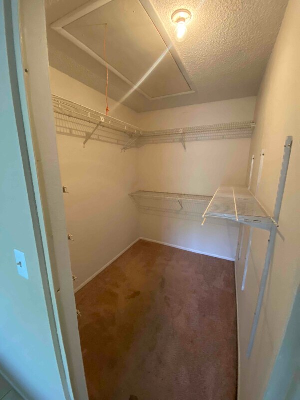 Building Photo - 2969 Bonaventure Cir