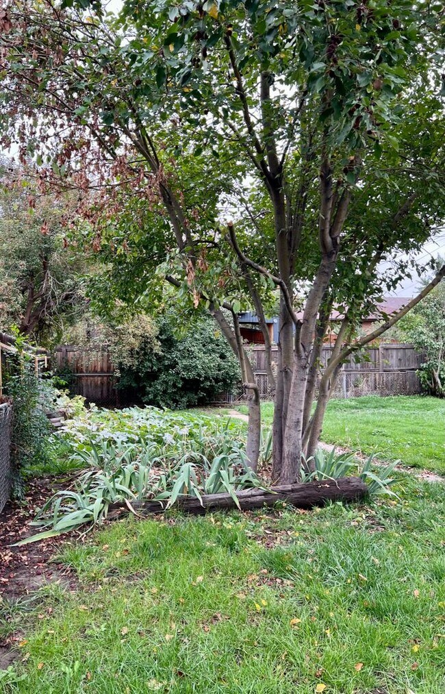 Building Photo - 3 Bedroom Home Walking distance to Sloan L...