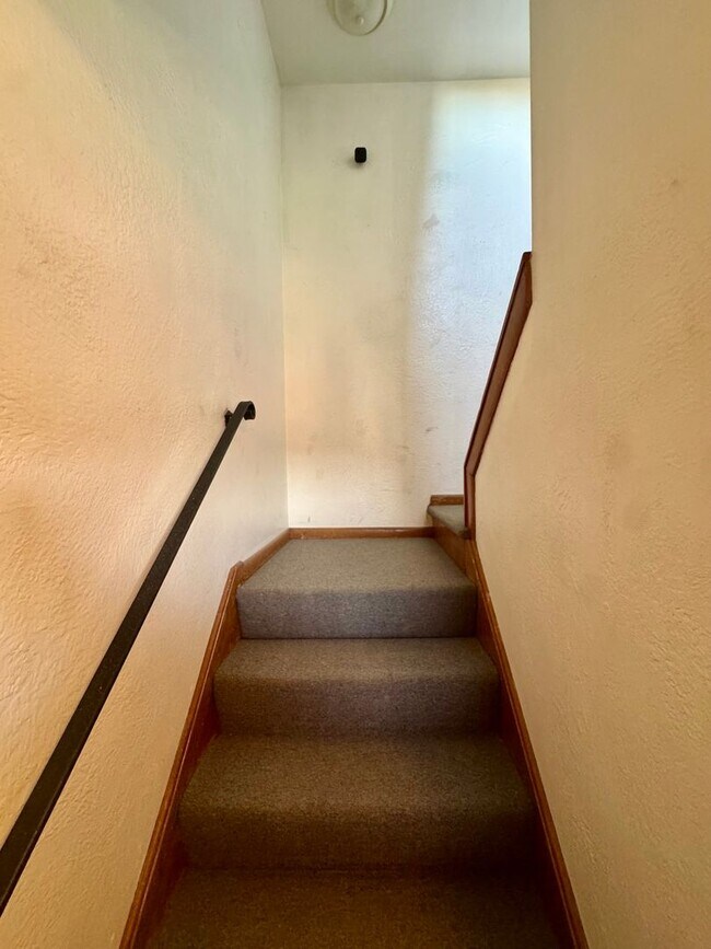 Building Photo - 229-231 Marylea Avenue (LO)