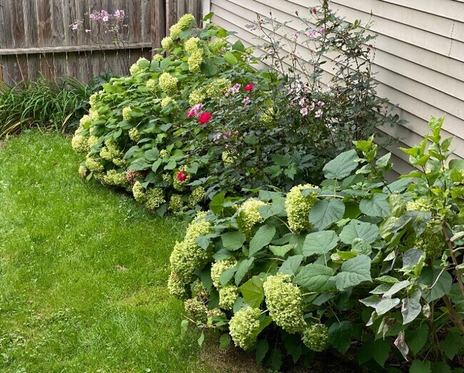 Building Photo - 358 Warren St