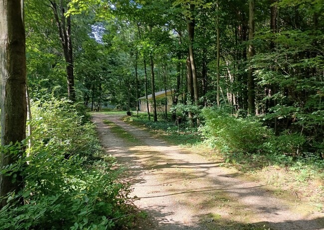 Primary Photo - Cottage in the Woods