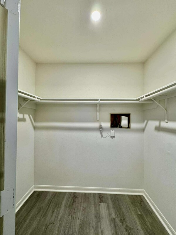 Building Photo - 1010 Hummingbird Point Ln