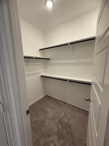 Building Photo - 3116 Sedge Grass Dr