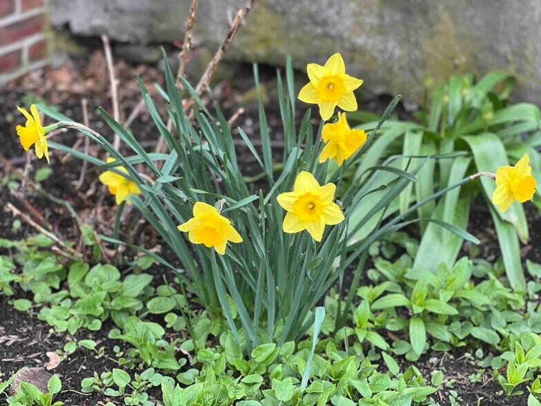 Building Photo - 61 Wollaston Ave