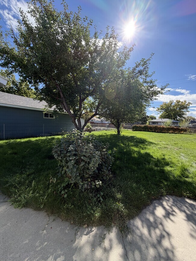 Building Photo - 2520 Lillis Ln