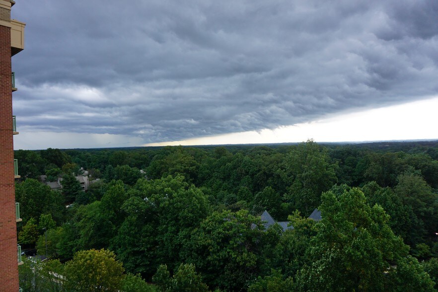 View from Living Room & Master Bedroom…storm clouds rolling in - 11776 Stratford House Pl