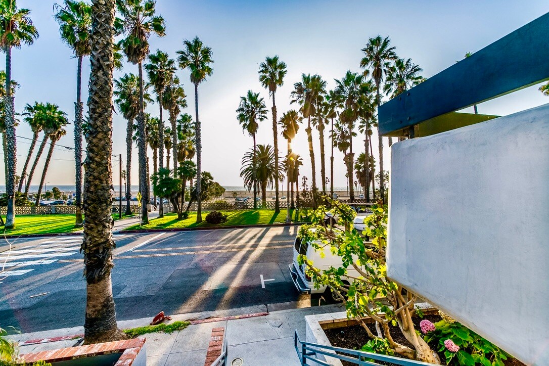Iconic Ocean Avenue lined with palms and sea breezes - 2221 Ocean Ave