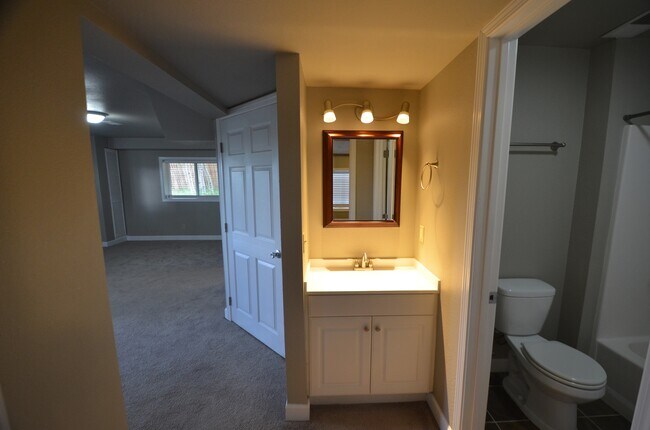 Building Photo - Fairplay home available 10/1/26, yard, two living spaces!
