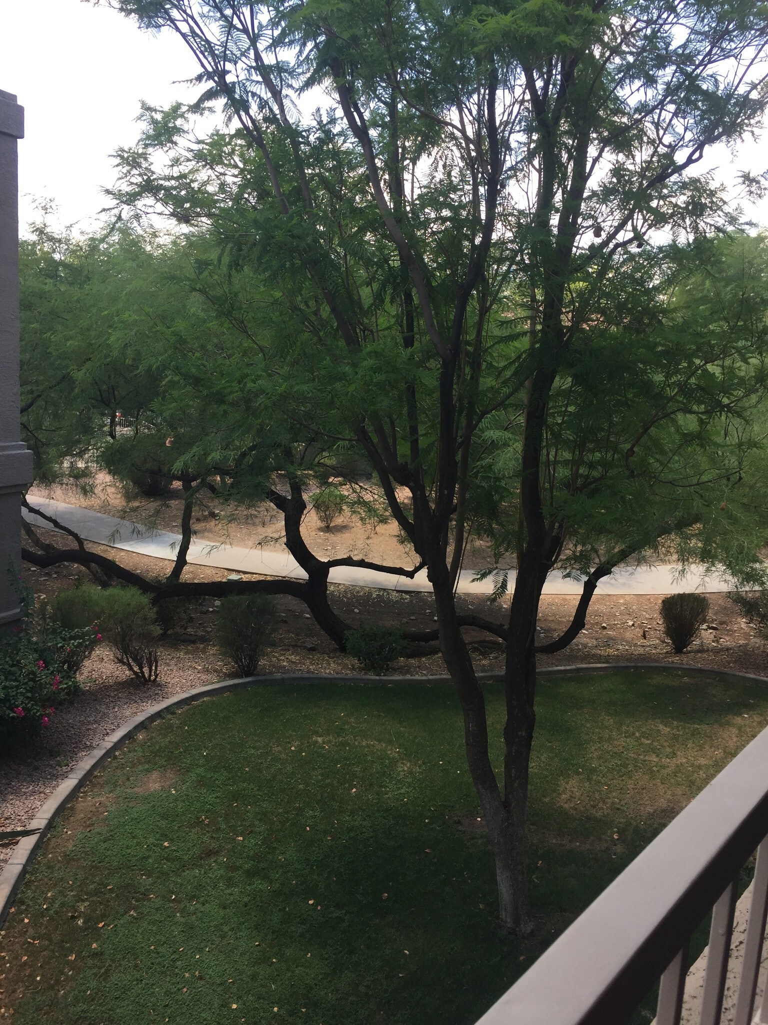 View from balcony - 15050 N Thompson Peak Pkwy