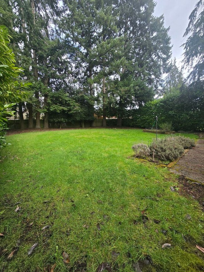 Building Photo - Beautiful 3 bedroom on large lot.