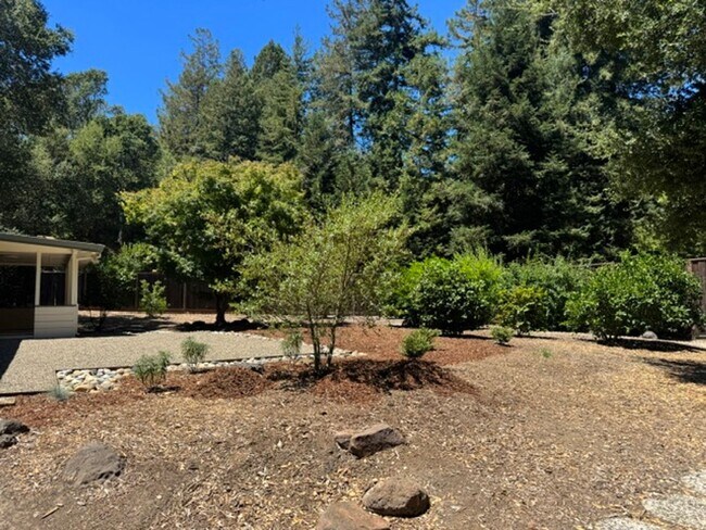 Building Photo - Fabulous single level Lafayette home nestled at the end of a tree-lined drive.