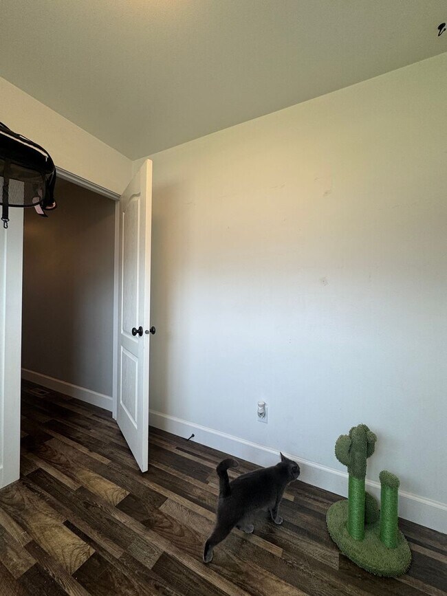 Building Photo - HUGE PET FRIENDLY Rental