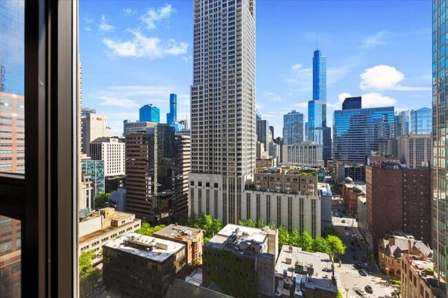 Building Photo - 1 bedroom in Chicago IL 60611