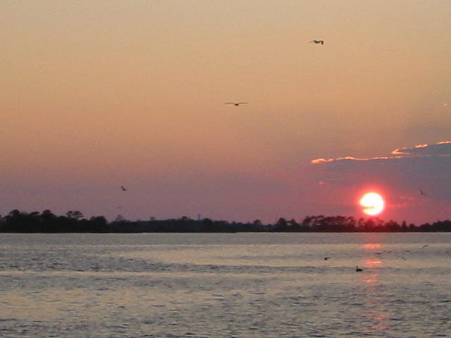 Building Photo - 7482 Autumn Trace Blvd