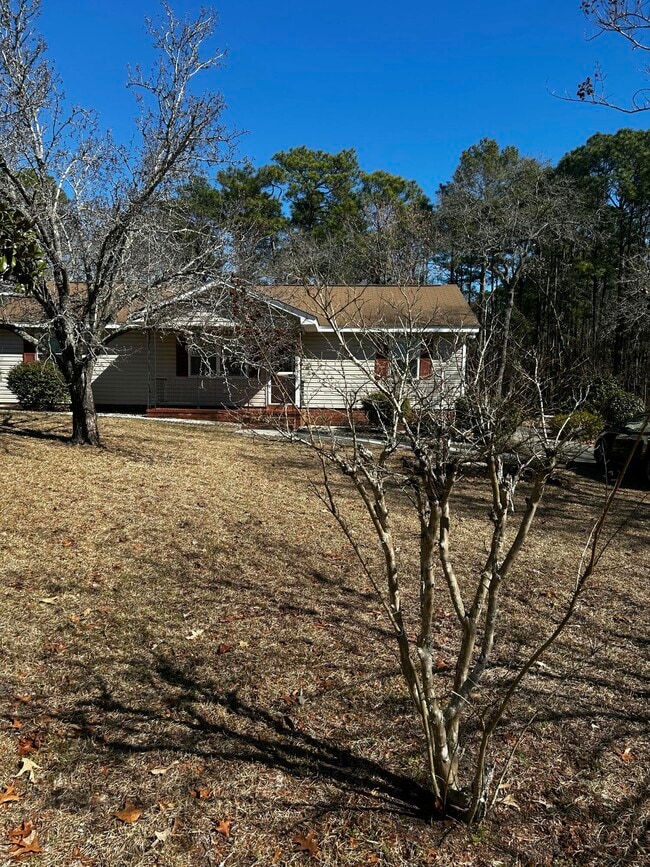 Building Photo - 312 Sorin Cir