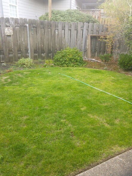 backyard - 4747 SW 1st Avenue