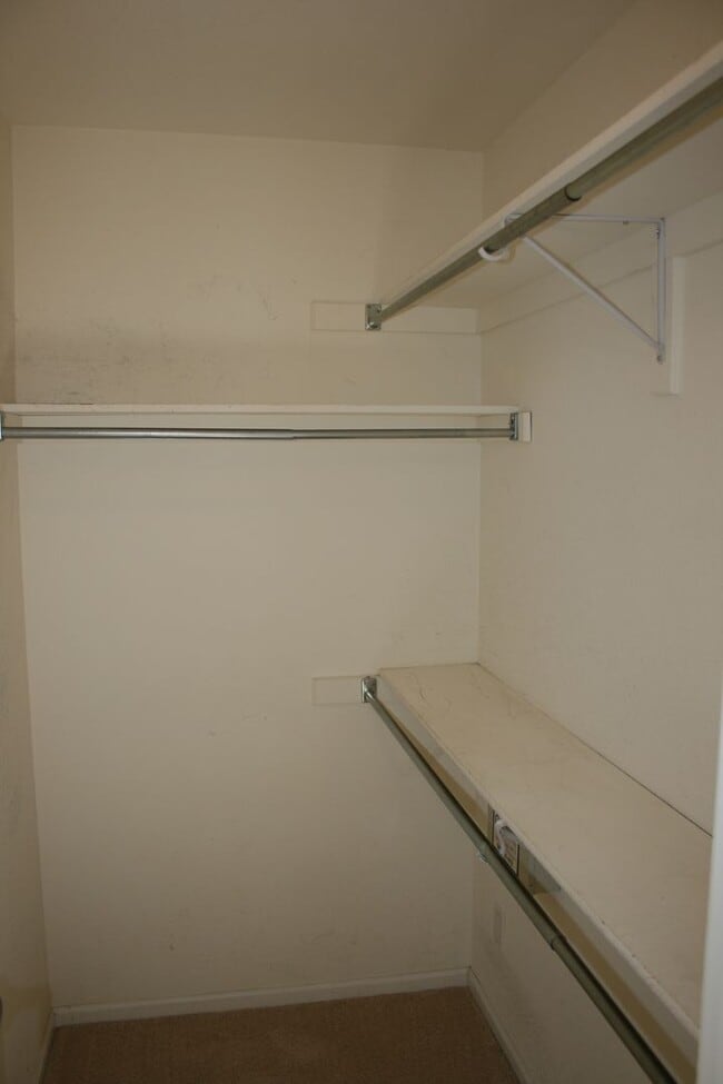 Building Photo - 10748 Appaloosa Ct