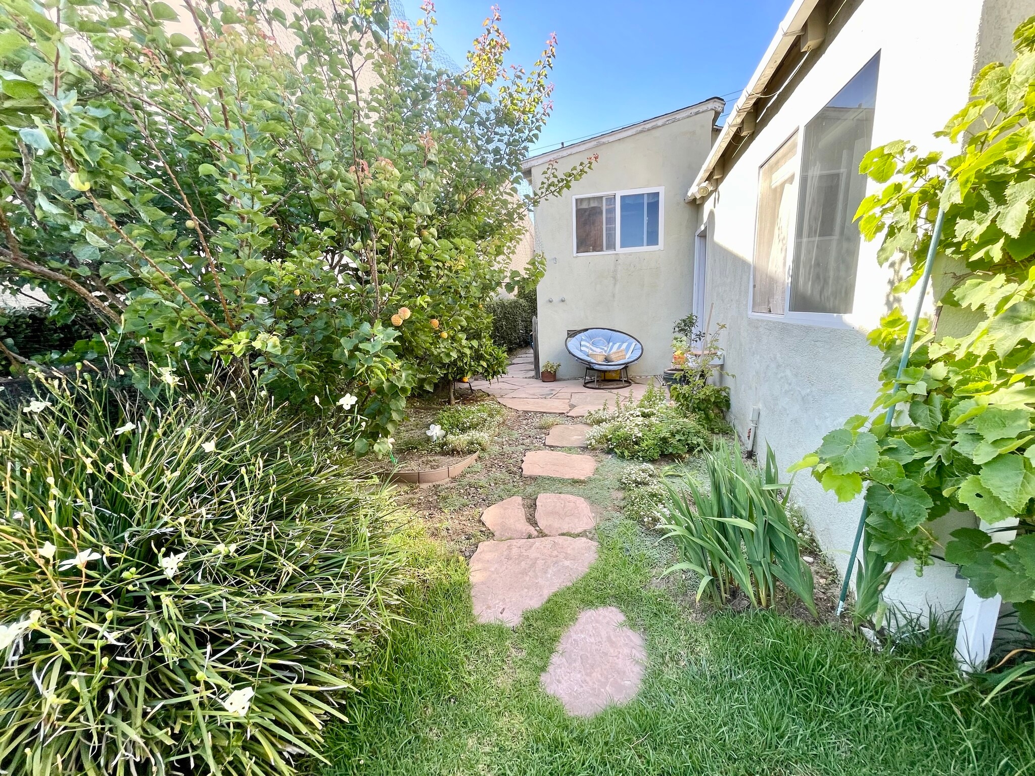 Backyard - 1136 8th St