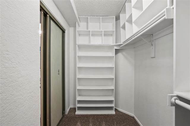 Building Photo - 1217 Wild Cherry Dr