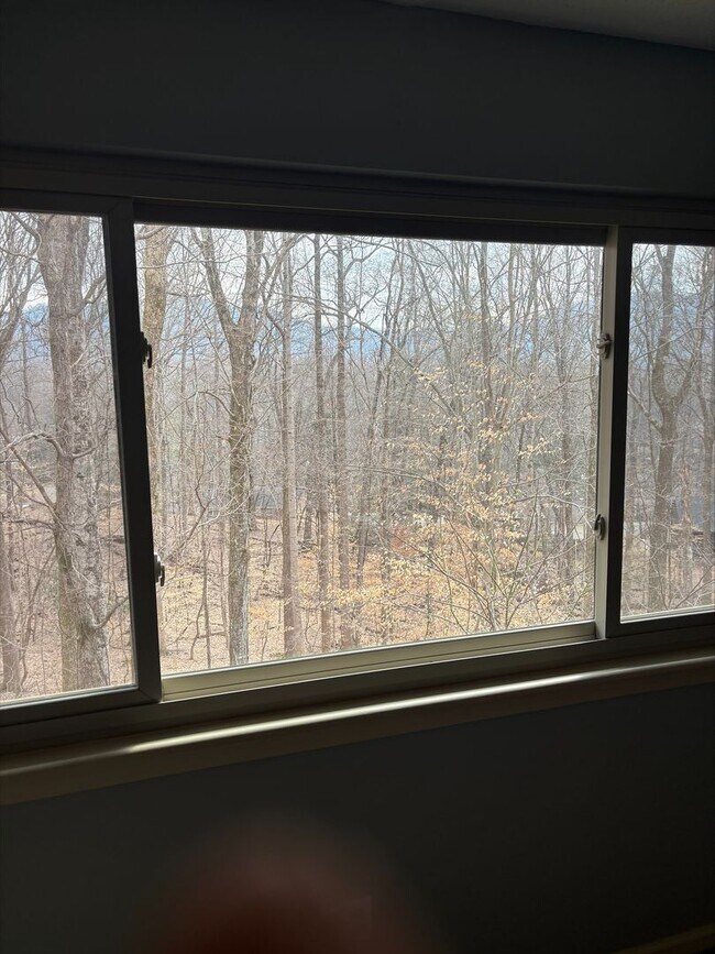 Building Photo - 2bed 2.5bath Condo Great Johnson City Location Close to ETSU