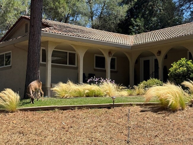 Building Photo - Beautiful Lake View Home for Rent in Lake of the Pines 3 Bed | 2.5 Bath | 1,775 Sq Ft