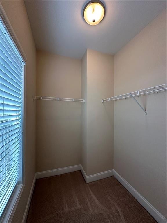 Building Photo - 2417 Tenor Ln