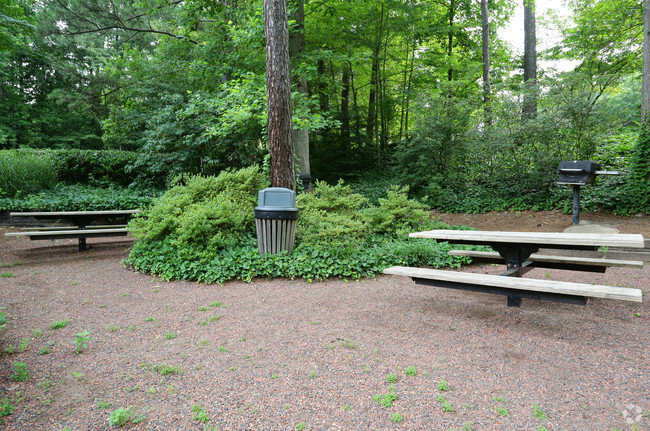 Picnic Area - Rosemont Vinings Ridge