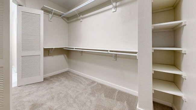 Building Photo - 510 Hogan Ct