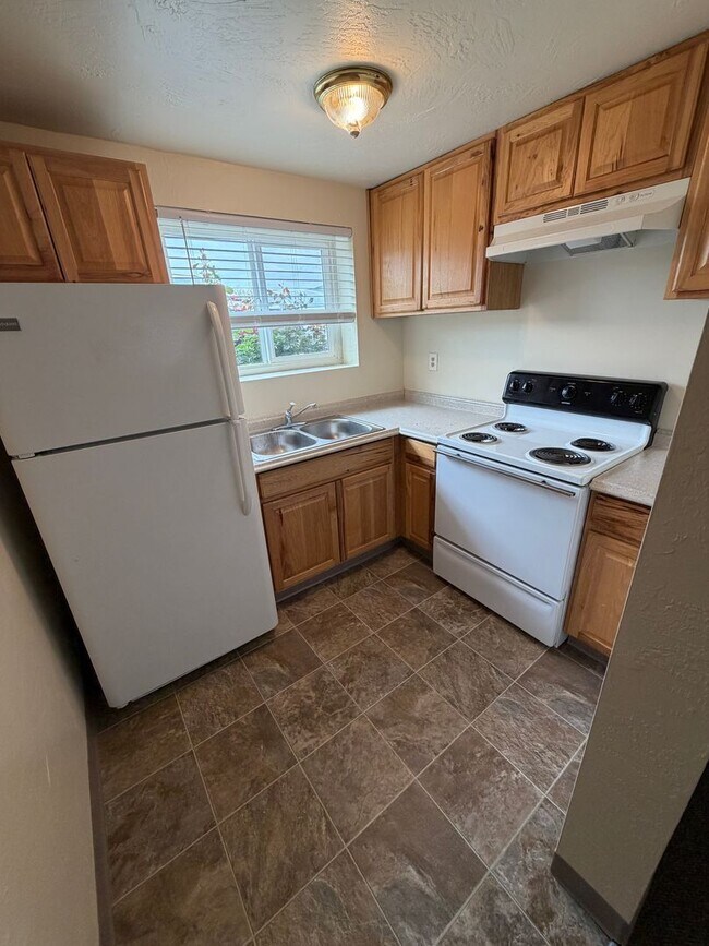 Building Photo - (907) Bluewood Apartments - 1 Bedroom / 1 Bath