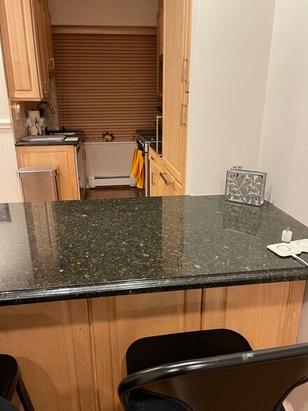 Kitchen bar counter - 18 Garden St