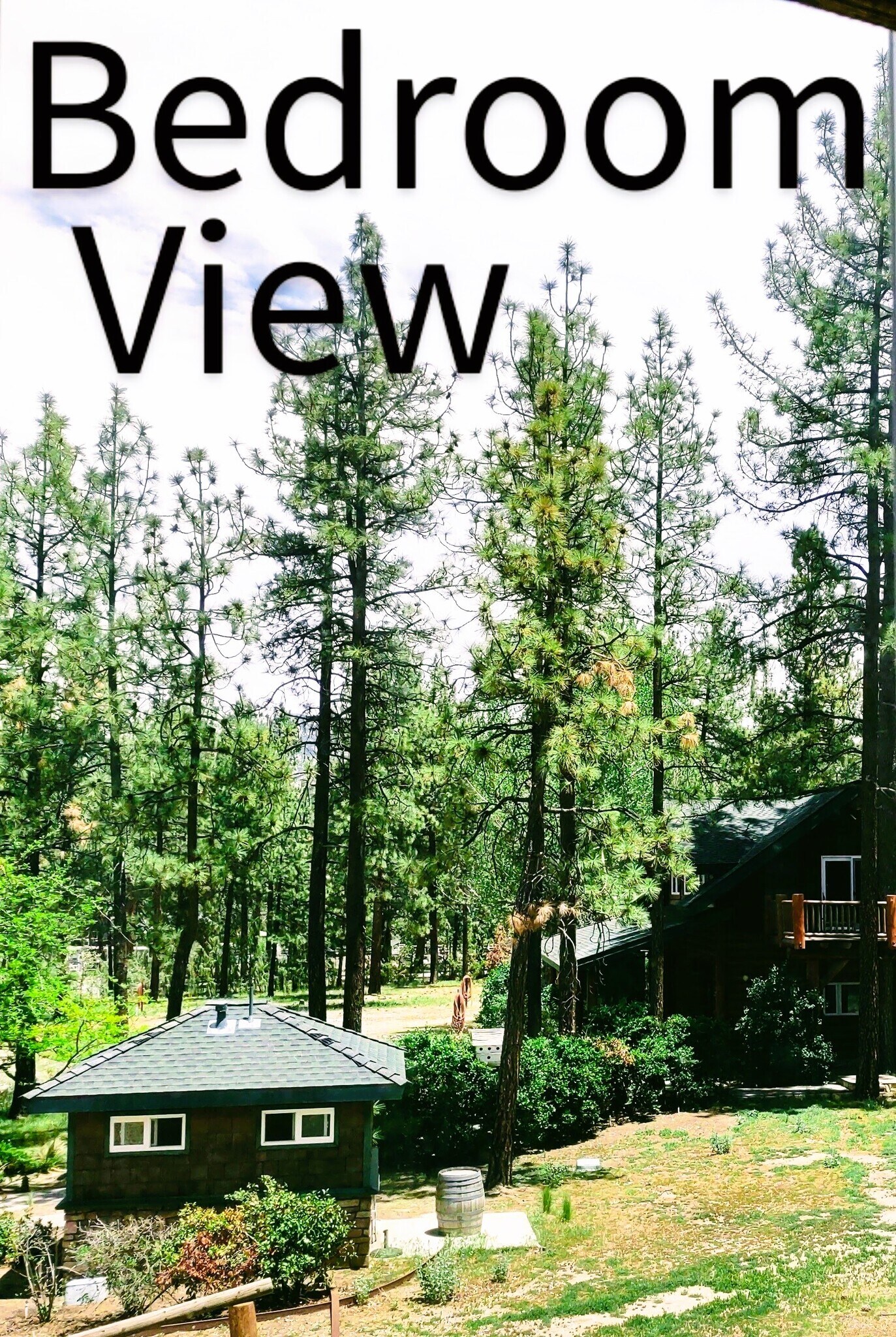 View of Grounds of Estate - 59570 Devils Ladder Rd