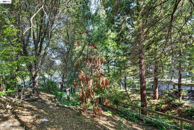 Building Photo - 133 Sundance Pl