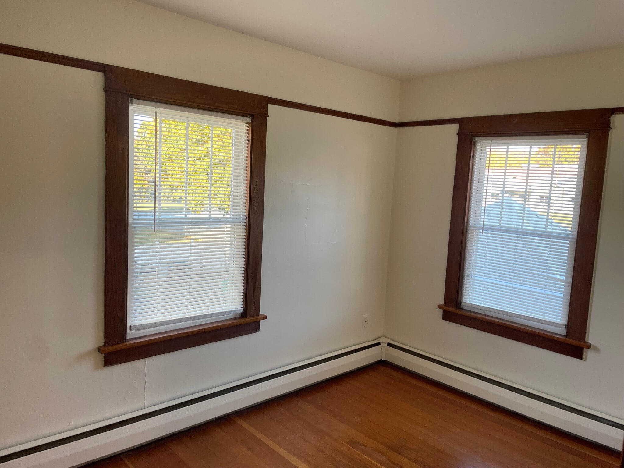 Building Photo - 207 Safford St