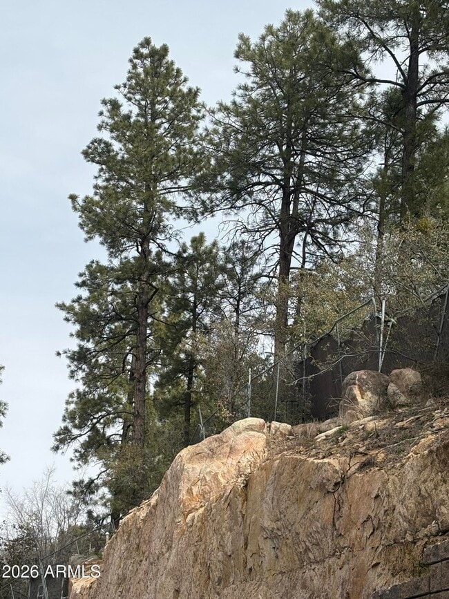 Building Photo - 561 Sally Ln