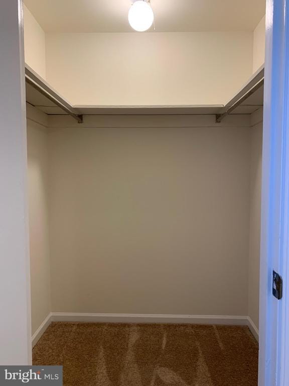 Building Photo - 1704 Washington Ave