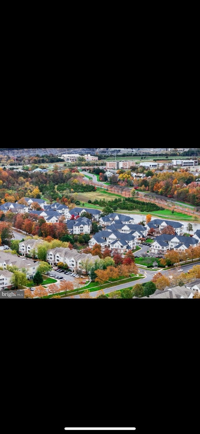 Building Photo - 43114 Watercrest Square
