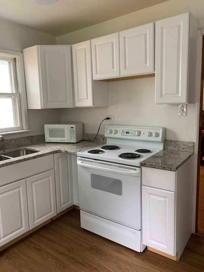 Newly remodeled kitchen - 3010 S Downing St