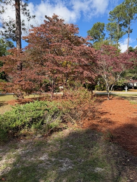 Building Photo - 1323 Salem Rd